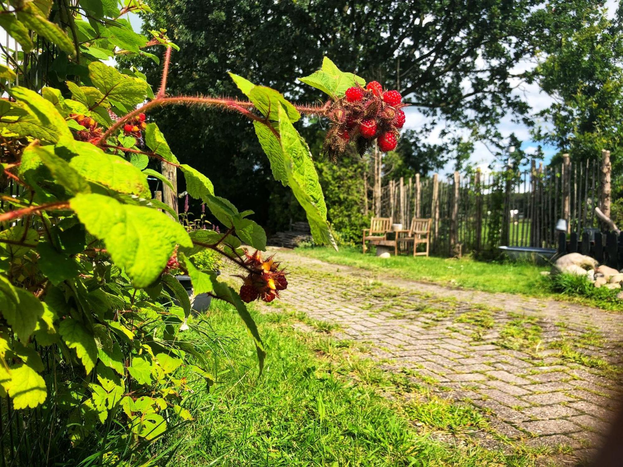 B&B Zandhuizen ภายนอก รูปภาพ